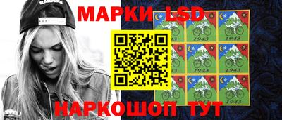 прущие грибы Новозыбков