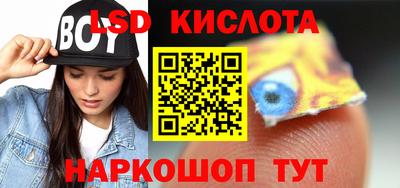 прущие грибы Новозыбков