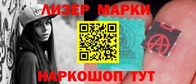 прущие грибы Новозыбков