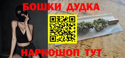 прущие грибы Новозыбков