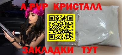 прущие грибы Новозыбков